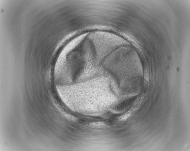 X0000087680112200705251653