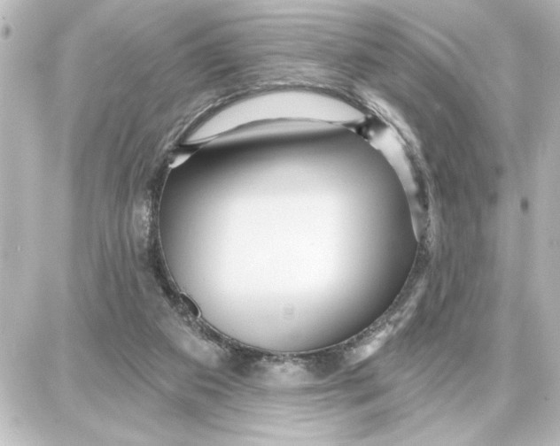 X0000087680113200705251653