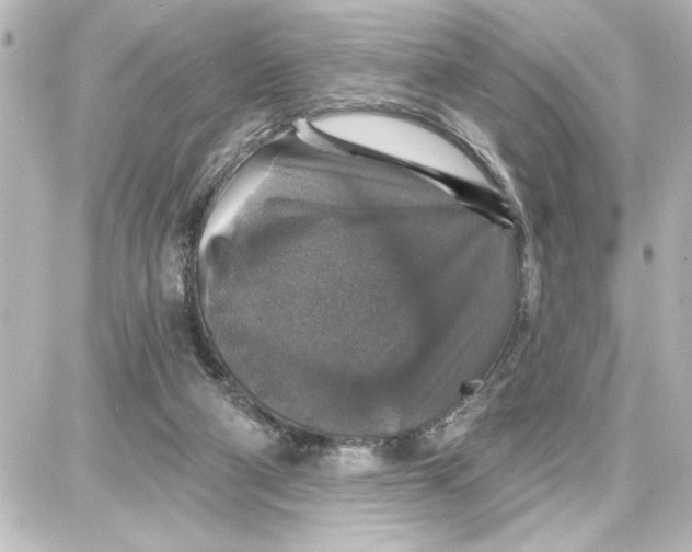 X0000087680114200705251653