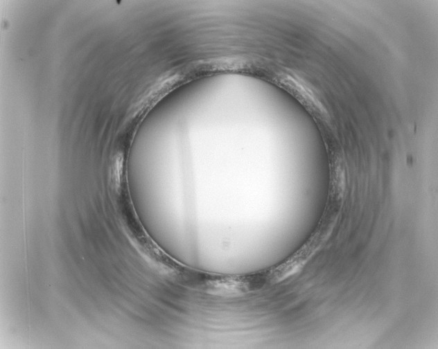 X0000087680118200705251653