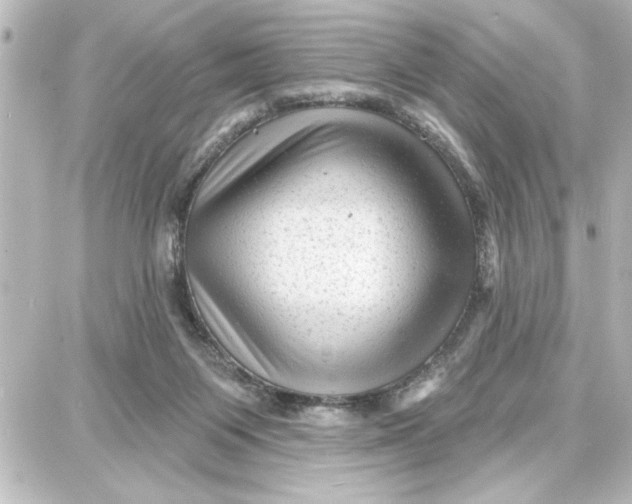 X0000087680119200705251653