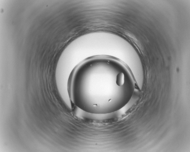 X0000087680121200705251653