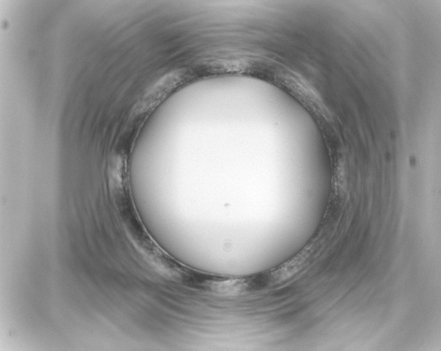 X0000087680122200705251653