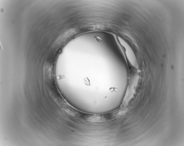 X0000087680123200705251653