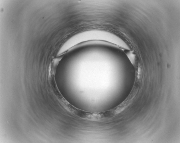 X0000087680125200705251653