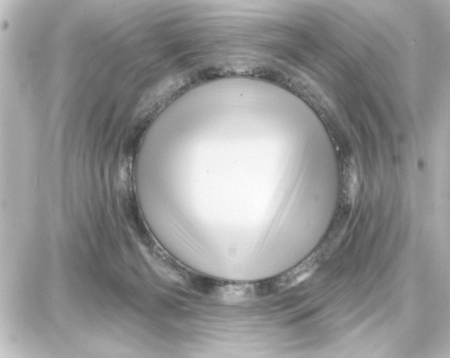 X0000087680126200705251653