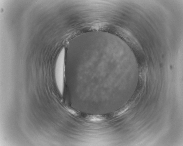 X0000087680127200705251653