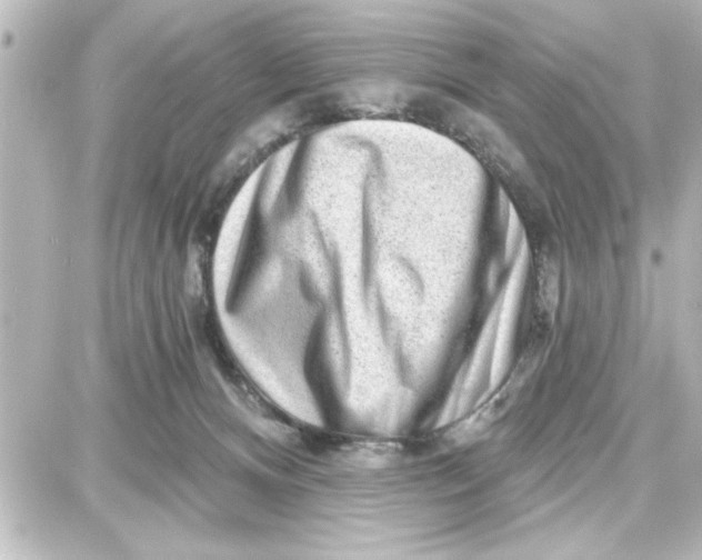 X0000087680128200705251653