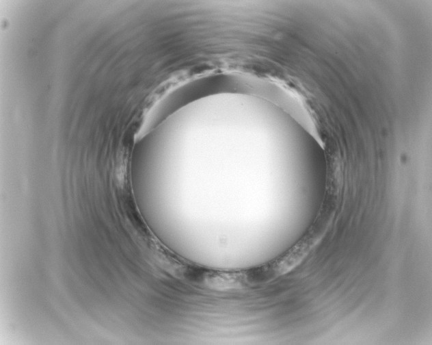 X0000087680129200705251653