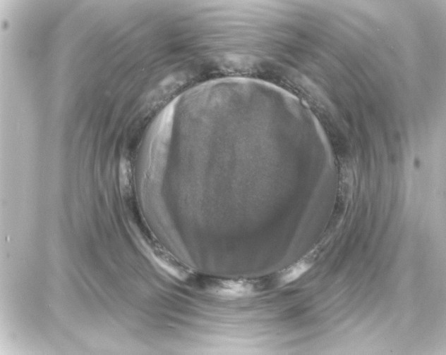 X0000087680130200705251653