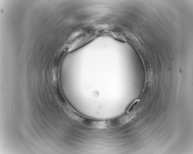 X0000087680131200705251653