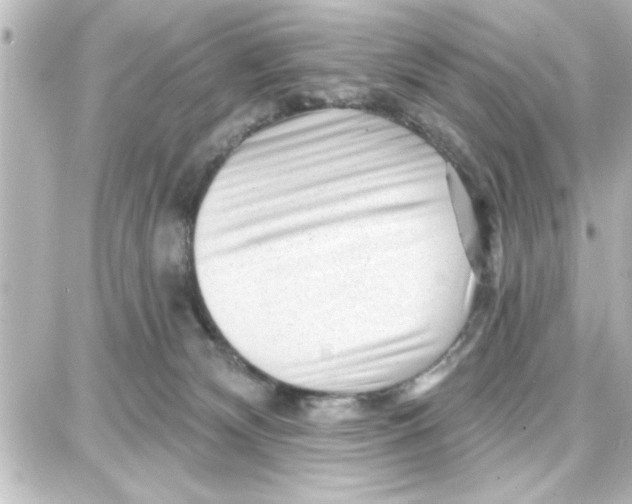 X0000087680132200705251653