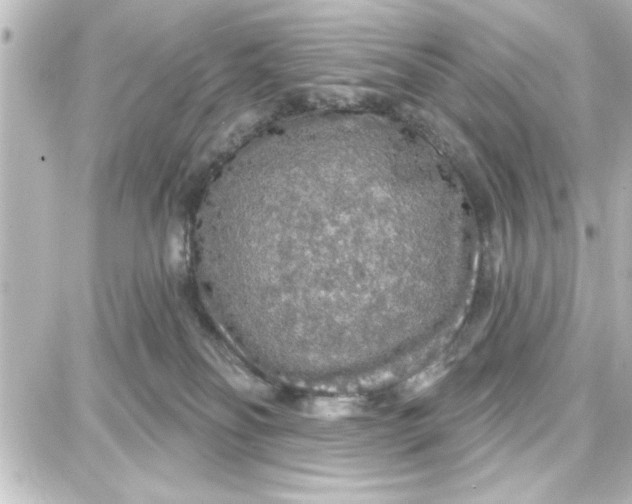 X0000087680134200705251653