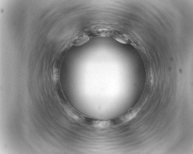 X0000087680135200705251653