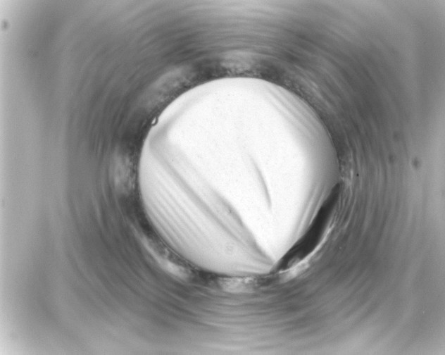 X0000087680136200705251653