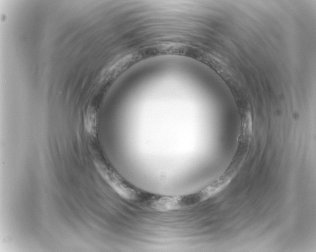 X0000087680138200705251653