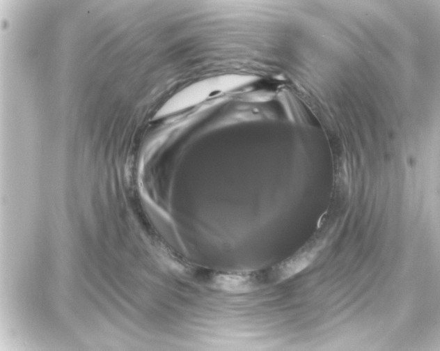 X0000087680139200705251653