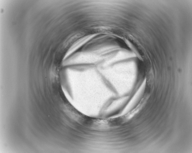 X0000087680140200705251653