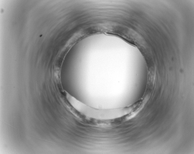 X0000087680141200705251653