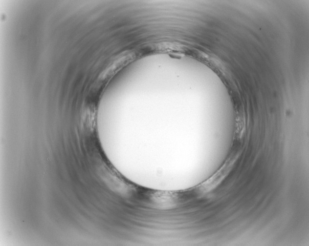 X0000087680142200705251653