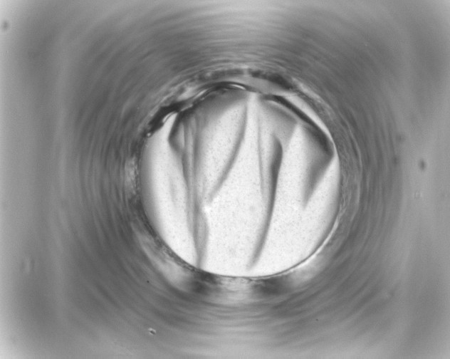 X0000087680144200705251653