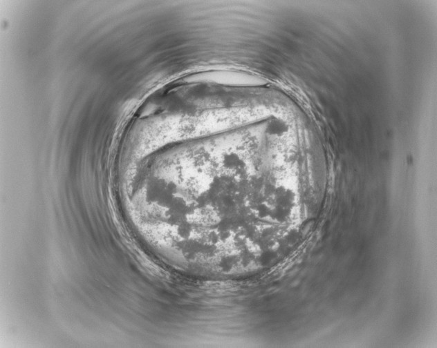 X0000087680145200705251652