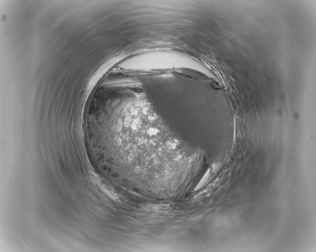 X0000087680147200705251652