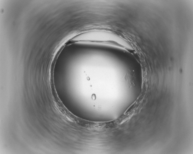 X0000087680148200705251652