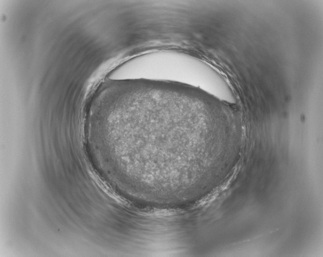 X0000087680149200705251652