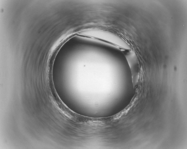 X0000087680150200705251652