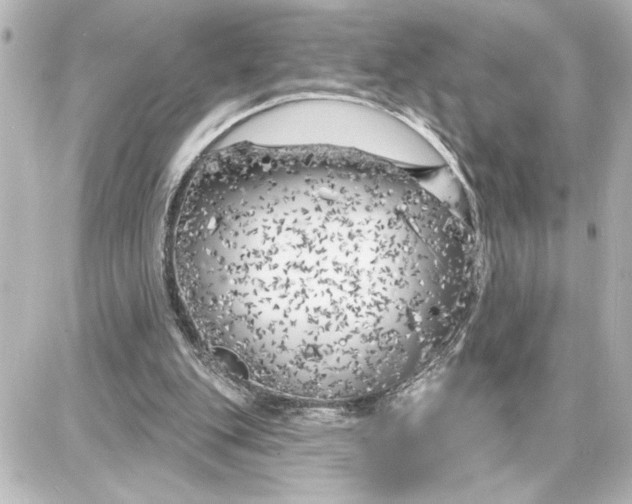 X0000087680151200705251652