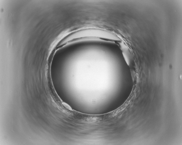 X0000087680152200705251652