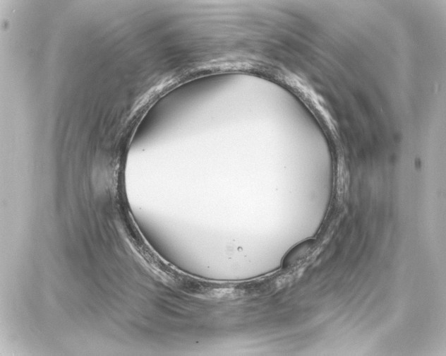 X0000087680153200705251652