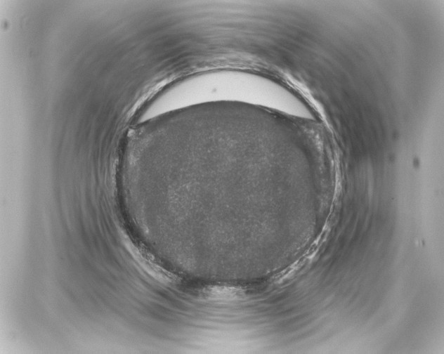 X0000087680154200705251652