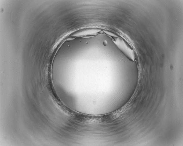 X0000087680155200705251652