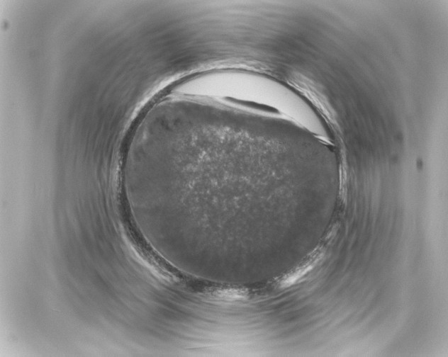 X0000087680156200705251652