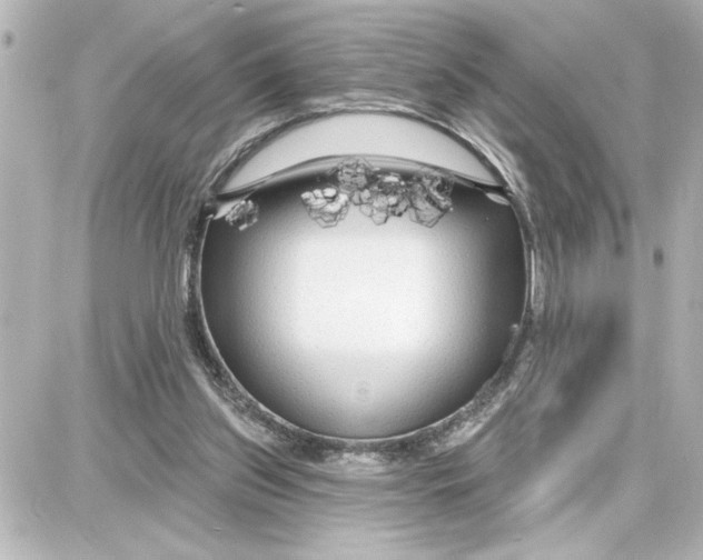 X0000087680157200705251652