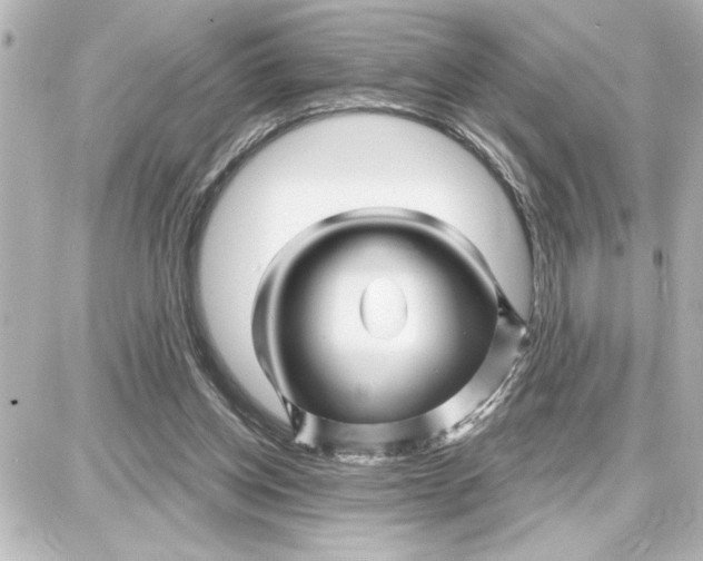 X0000087680158200705251652