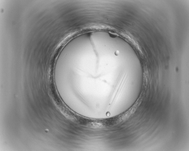 X0000087680159200705251652