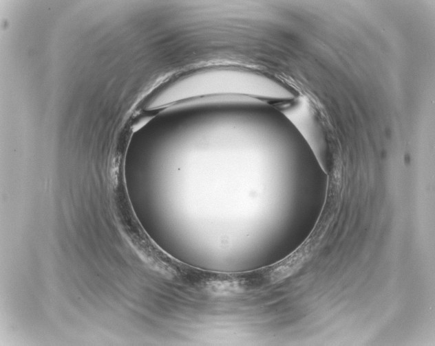 X0000087680160200705251652