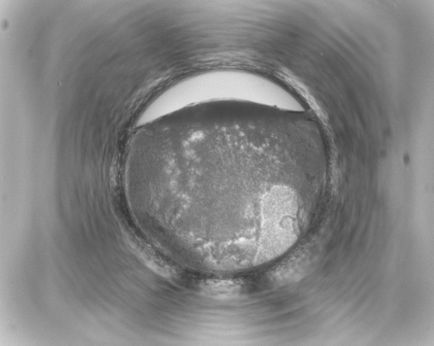 X0000087680161200705251652