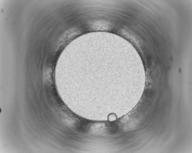 X0000087680162200705251652