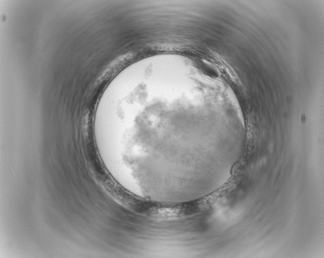 X0000087680163200705251652