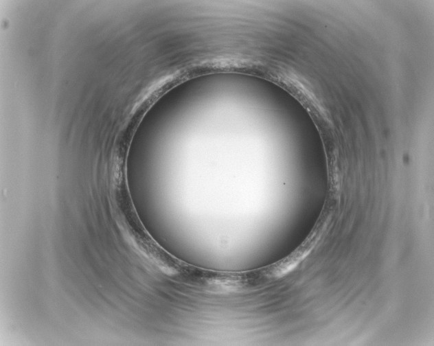 X0000087680164200705251652