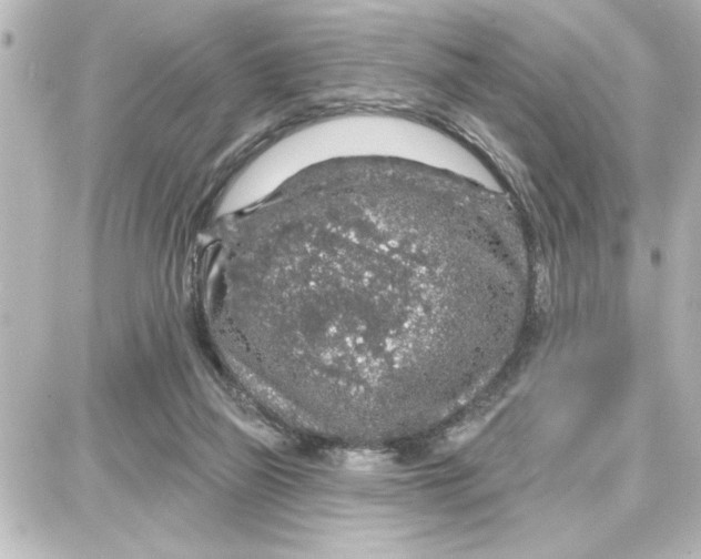 X0000087680165200705251652