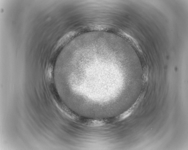 X0000087680166200705251652