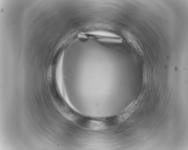 X0000087680167200705251652