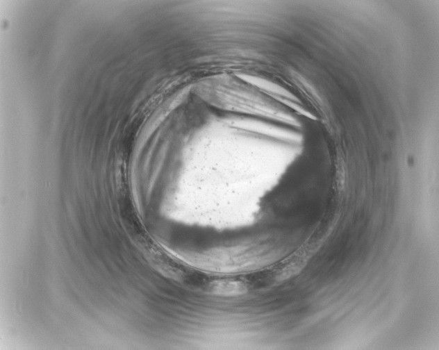 X0000087680169200705251652