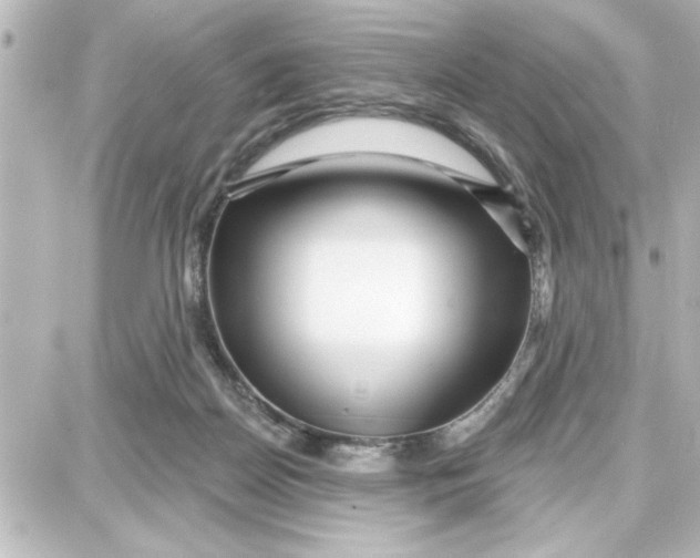 X0000087680170200705251653