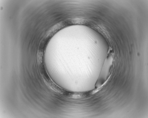 X0000087680171200705251653